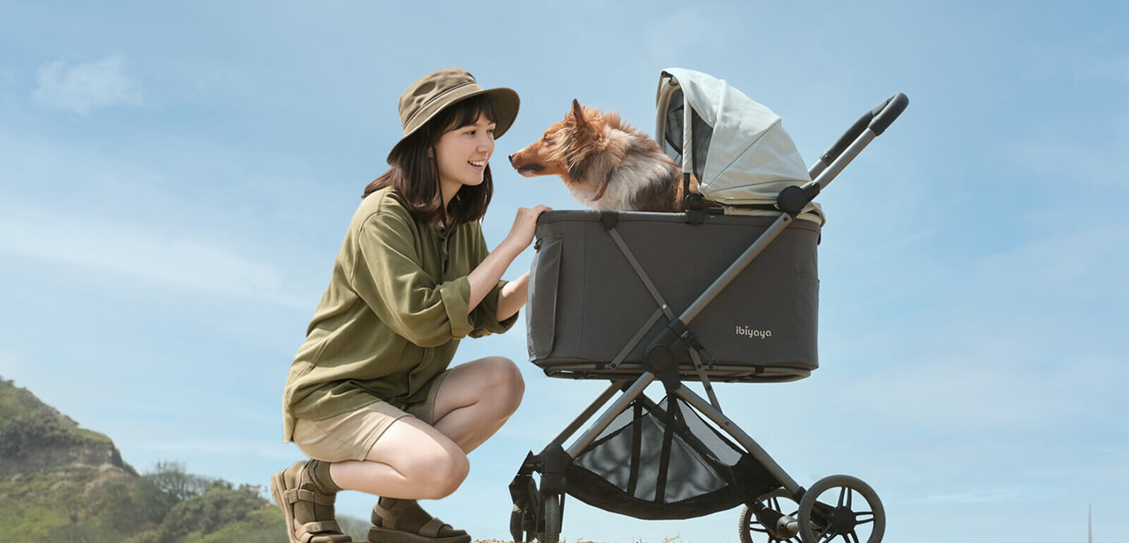 Pet Strollers